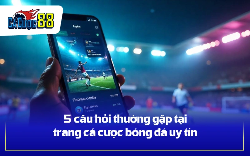 5 câu hỏi thường gặp tại trang cá cược bóng đá uy tín