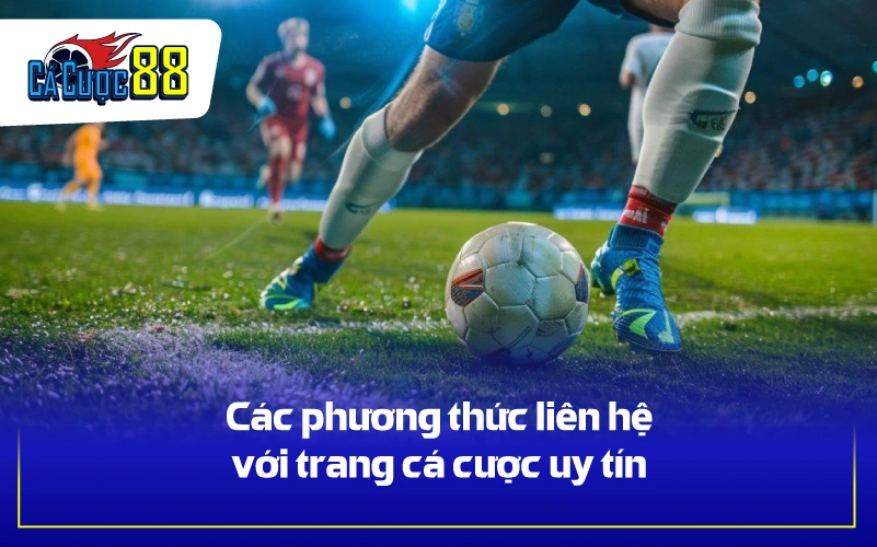 Các phương thức liên hệ với trang cá cược uy tín